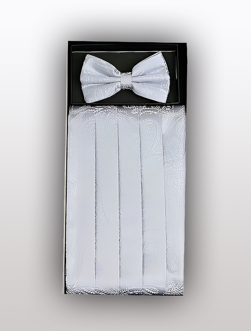 A sophisticated Men's Silk Paisley Silver Cummerbund with Bow Tie by Vesuvio Napoli, presented in an elegant black box, perfect for completing your tuxedo ensemble.