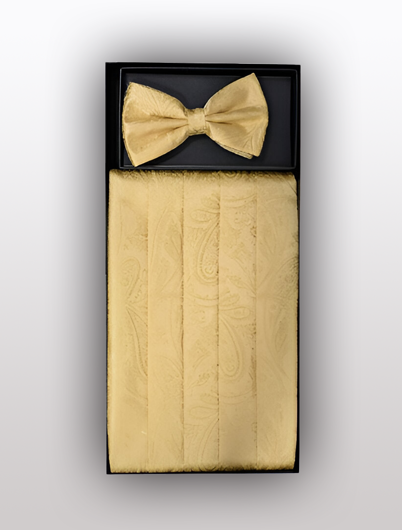 Men's Silk Paisley Gold Cummerbund and Bow Tie set by Vesuvio Napoli, perfect as a formal tuxedo accessory, elegantly displayed in a black box.