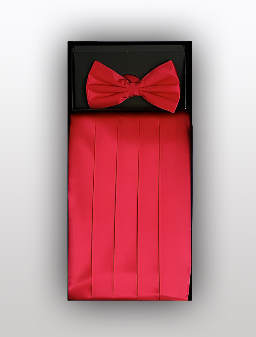 Vesuvio Napoli's sophisticated men's silk hot pink cummerbund paired with a matching bow tie, thoughtfully packaged in a sleek black box, perfect for formal occasions.